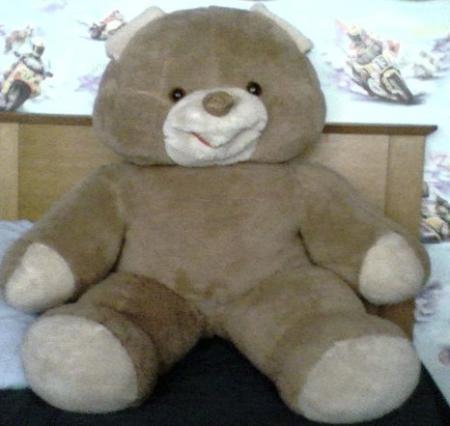 Mon OURS
